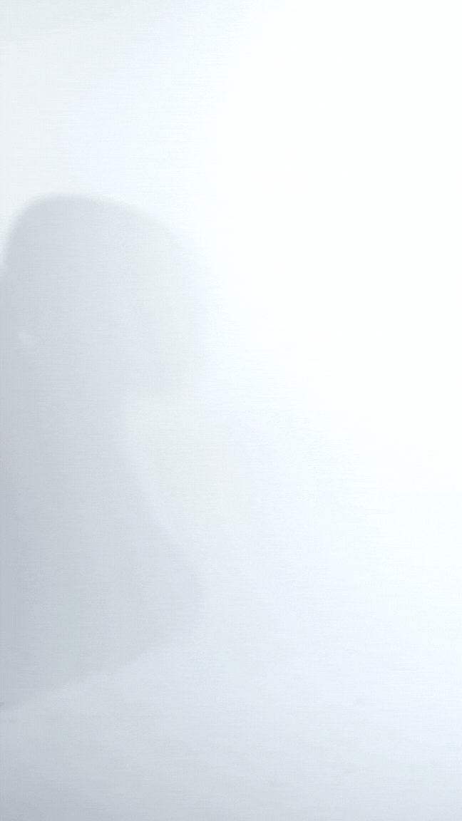 Grisella Semi-Corset