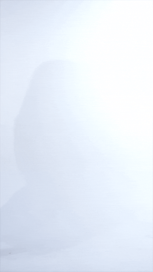 Reggiseno Harlow Monocoppa Push up