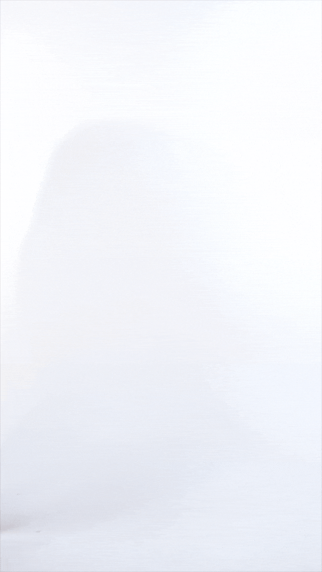 Kylie Bodysuit Push up